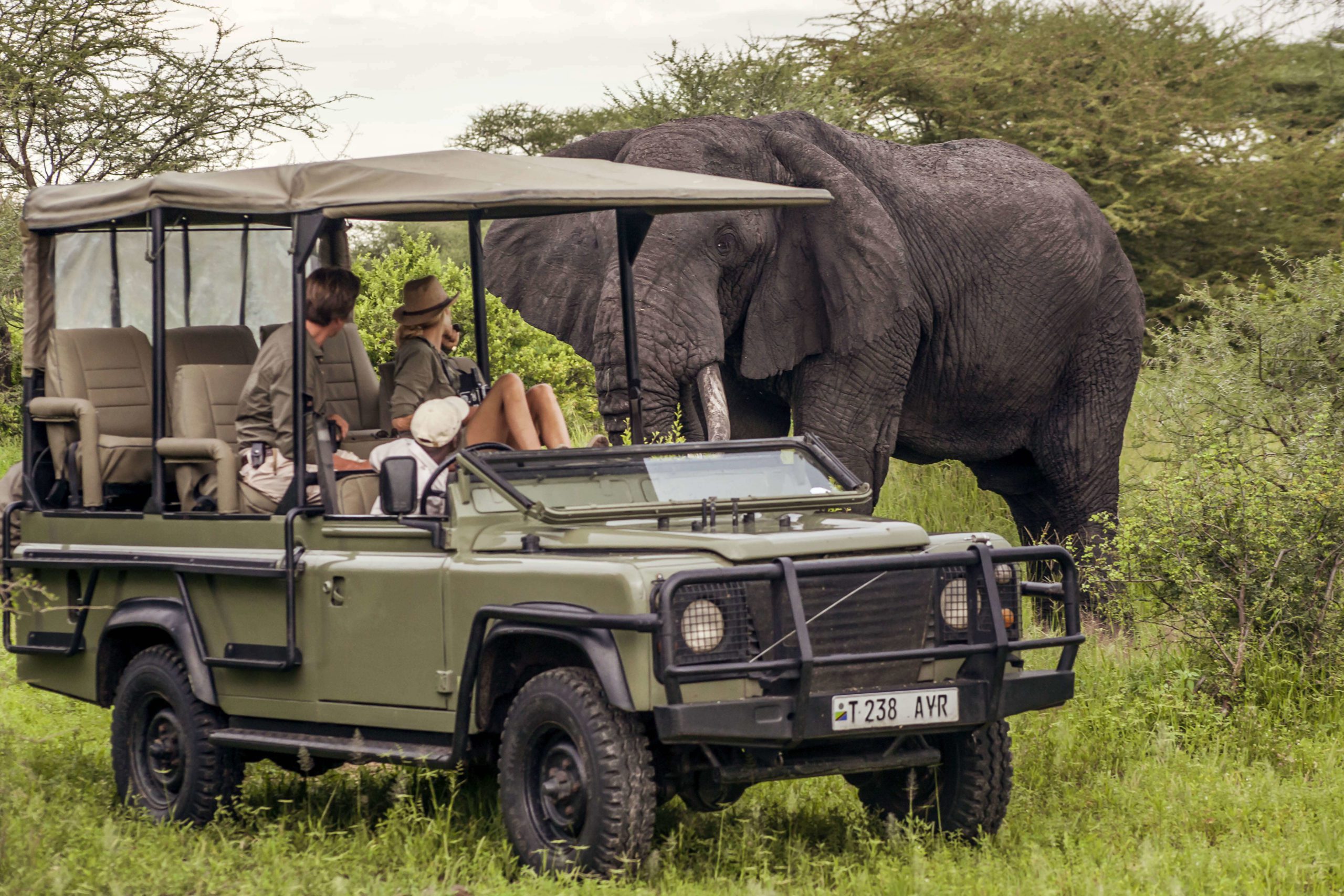 Tanzania budget safari & Tours | Zepisa African Safaris