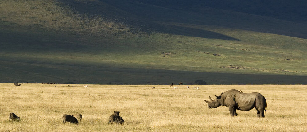 11 Interesting Facts About Tanzania: Must-Know