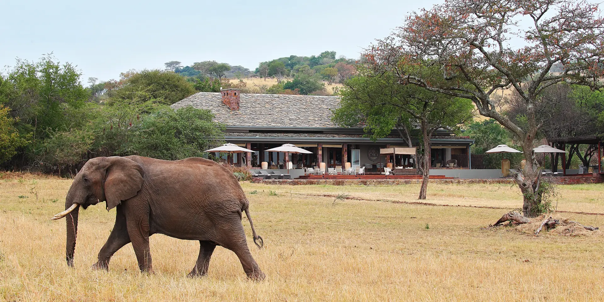 Four seasons safari lodge serengeti