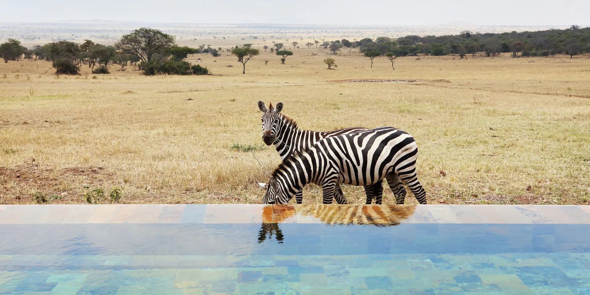 Four seasons safari lodge serengeti